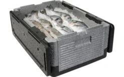 Overath Flip Box BIG Faltbare Isolierbox 39 Liter -Outdoor-Campingladen 120016 2250319